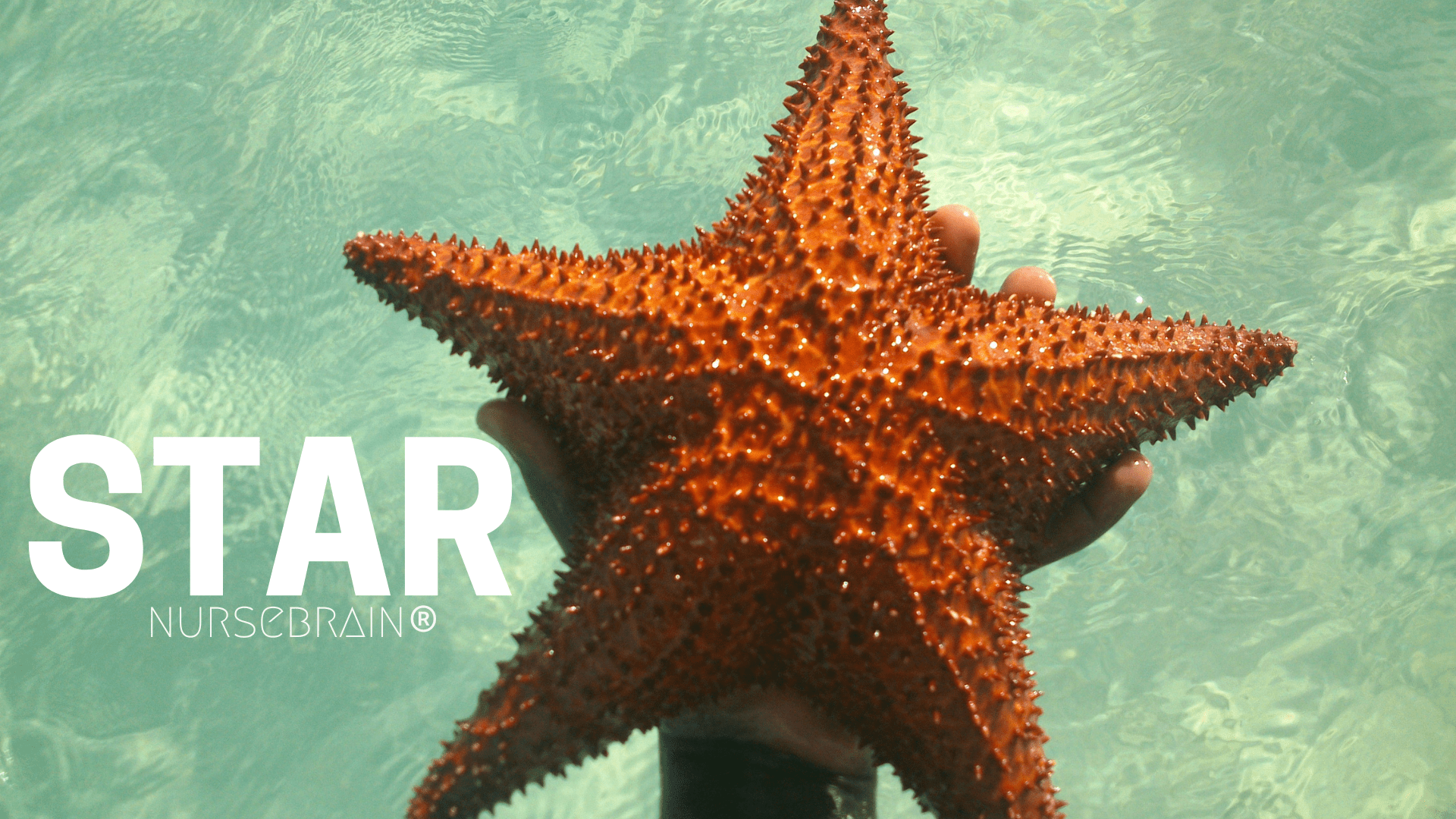 Parar, Pensar, Agir &#038; Revisar para Reduzir Erros Médicos